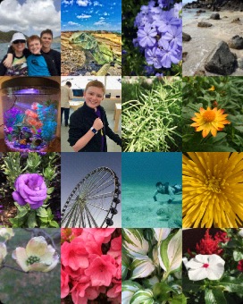 Photos Zoomed Out on Apple Watch (1st generation) 38mm running watchOS 1.0.1
