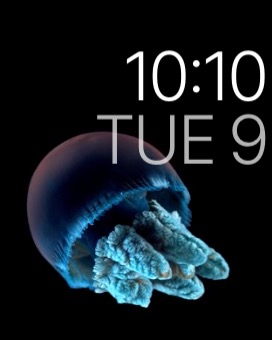 Motion Alt on Apple Watch (1st generation) 38mm running watchOS 1.0.1