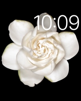 Motion Flower – Watch Modern Buckle Brown on Apple Watch (1st generation) 38mm running watchOS 1.0.1