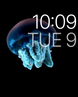 Motion Alt 3 on Apple Watch (1st generation) 38mm running watchOS 1.0.1
