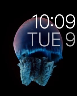 Motion Alt 2 on Apple Watch (1st generation) 38mm running watchOS 1.0.1
